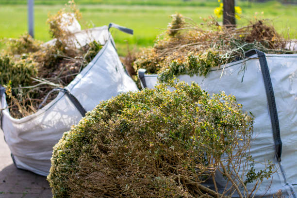 Best Appliance Removal Near Me  in Edina, MO